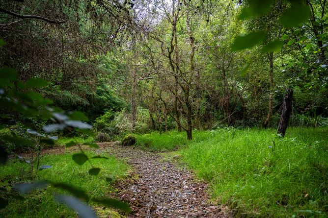 Monaincha, Moygrove, Foxford, Co. Mayo