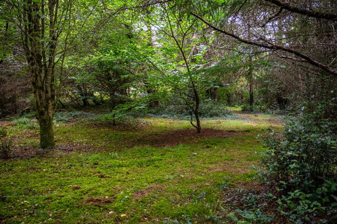 Monaincha, Moygrove, Foxford, Co. Mayo