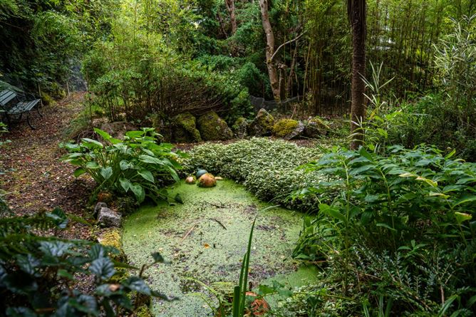 Monaincha, Moygrove, Foxford, Co. Mayo