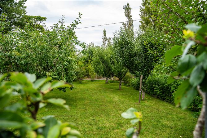 Monaincha, Moygrove, Foxford, Co. Mayo