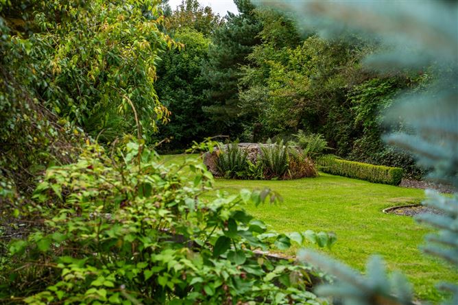 Monaincha, Moygrove, Foxford, Co. Mayo