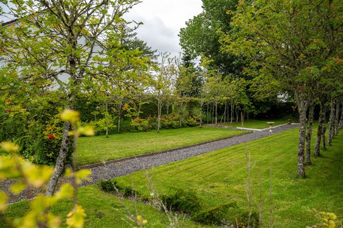 Monaincha, Moygrove, Foxford, Co. Mayo