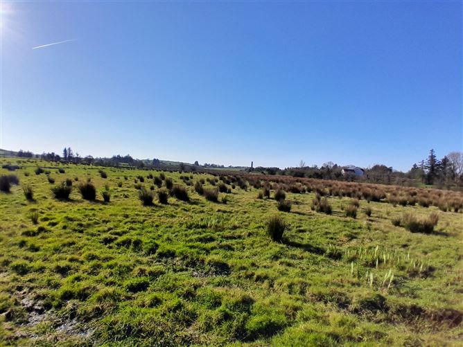 Meelick, Swinford, Co. Mayo