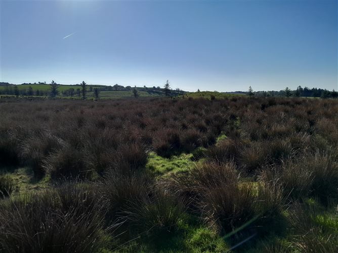 Meelick, Swinford, Co. Mayo