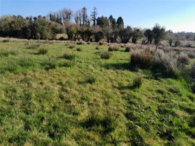 Meelick, Swinford, Co. Mayo