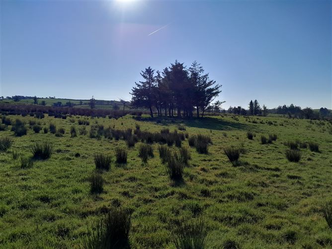 Meelick, Swinford, Co. Mayo