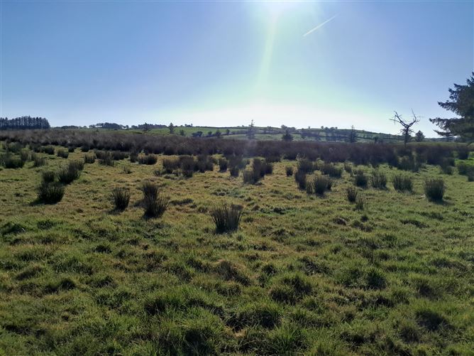 Meelick, Swinford, Co. Mayo
