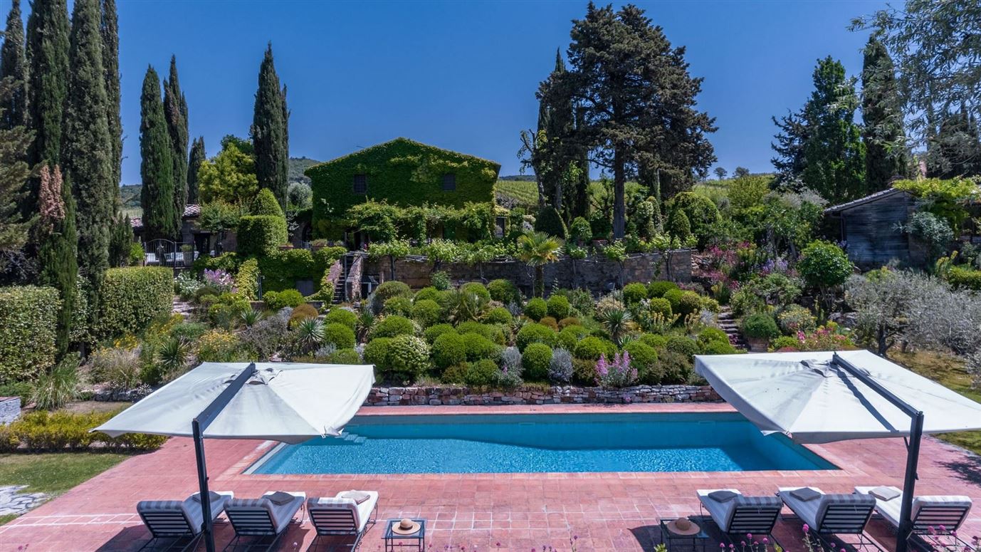 Old Vine's Jewel,Greve in Chianti,Tuscany,Italy