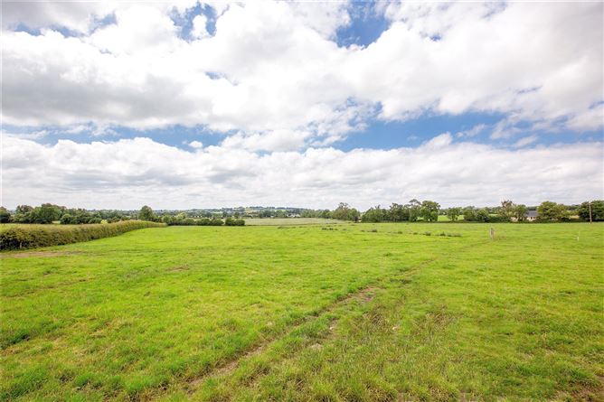 Ballycannon, Kilcock, Co. Kildare