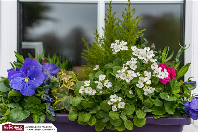 18 Church View, Walsh Island, Near, Portarlington, Laois