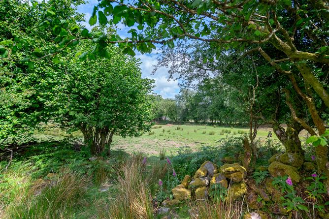 The Tailor's Cottage, Derrynabrack, Tuosist, Kenmare, Co. Kerry