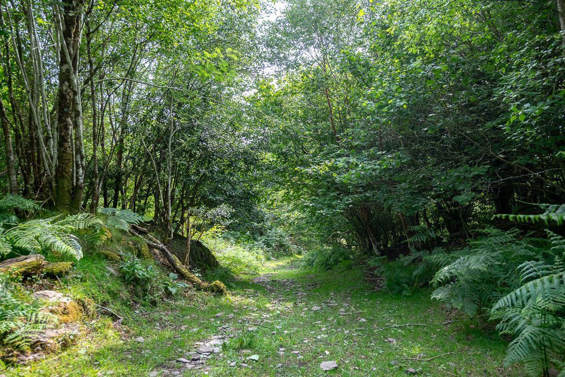 The Tailor’s Cottage, Derrynabrack, Tuosist, Kenmare, Co. Kerry