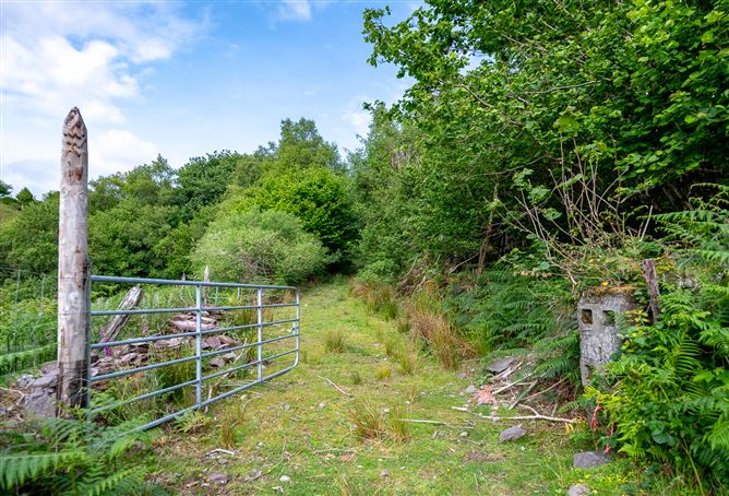 The Tailor's Cottage, Derrynabrack, Tuosist, Kenmare, Co. Kerry