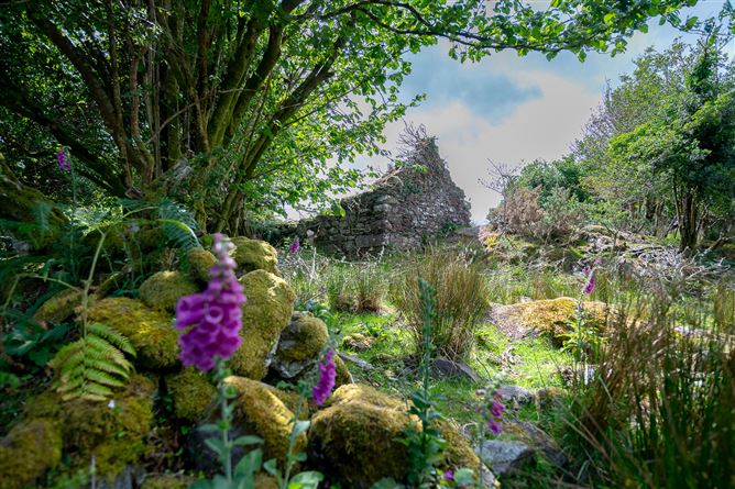 The Tailor's Cottage, Derrynabrack, Tuosist, Kenmare, Co. Kerry