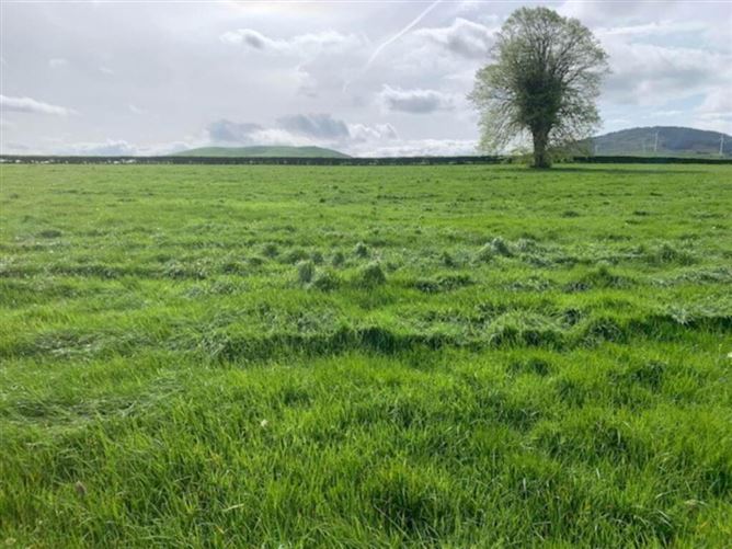 Millbrook, Ballinaclough, Nenagh, Co. Tipperary, 11 Acres