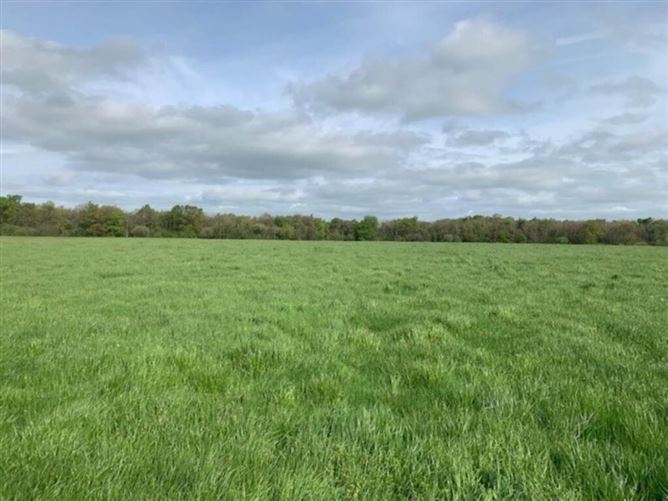 Millbrook, Ballinaclough, Nenagh, Co. Tipperary, 11 Acres