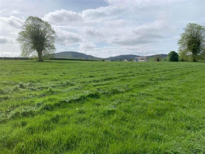 Millbrook, Ballinaclough, Nenagh, Co. Tipperary, 11 Acres