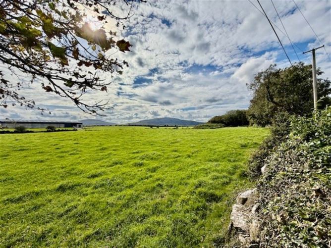 The Hollies, Cloosh, Kinvara, County Galway