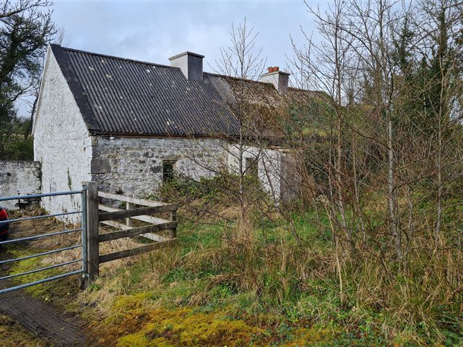 Glasdrumman, Gorvagh, Leitrim - Abbey Property Sales - 4494484 - MyHome ...