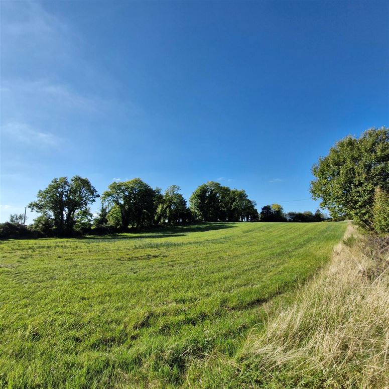 1.97 Acre Site In Gortnalea, Gortnalea, Dunmore, Co. Galway