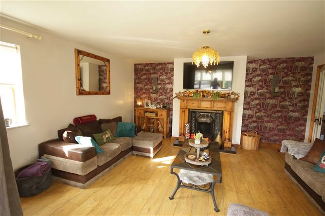 11 Cloghane, Errill, Laois