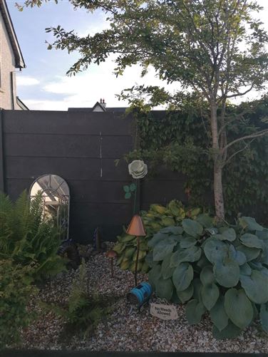 11 Cloghane, Errill, Laois