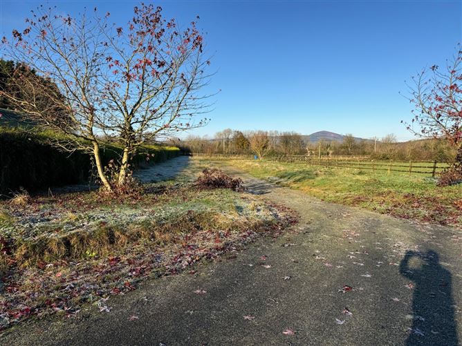 Ballinabanogue, New Ross, Co. Wexford