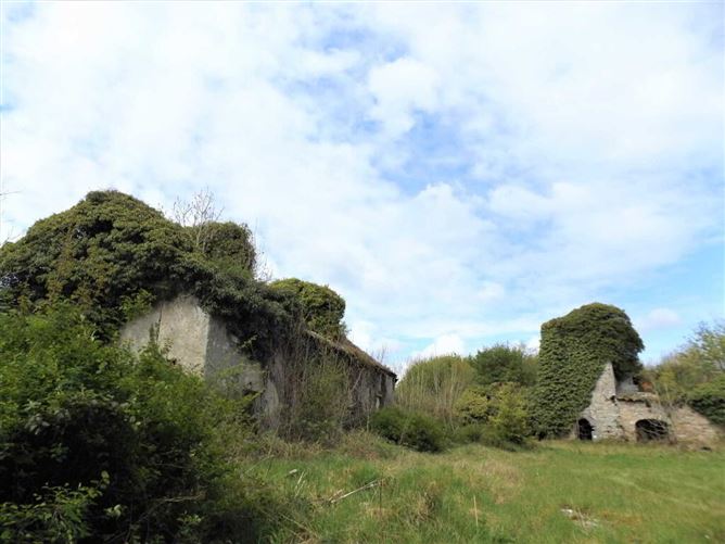 Main image for Shortt`s Castle, Ballybritt, Roscrea, Co. Tipperary