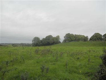 Image for Grange Site, New Inn, Ballinasloe, County Galway