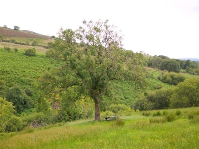 Sradrinagh House, Ballinaglera, Co. Leitrim , LMBALLINA