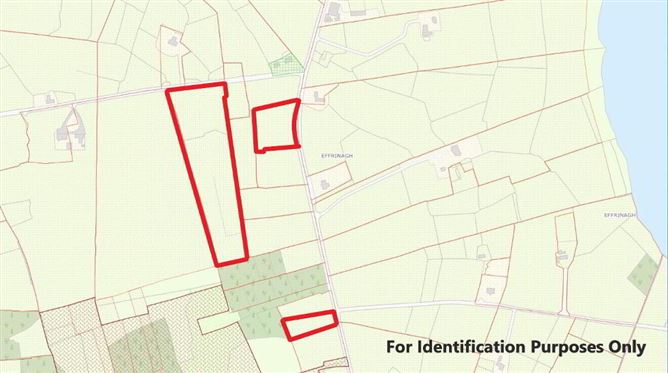 Effrinagh, Carrick On Shannon, Leitrim
