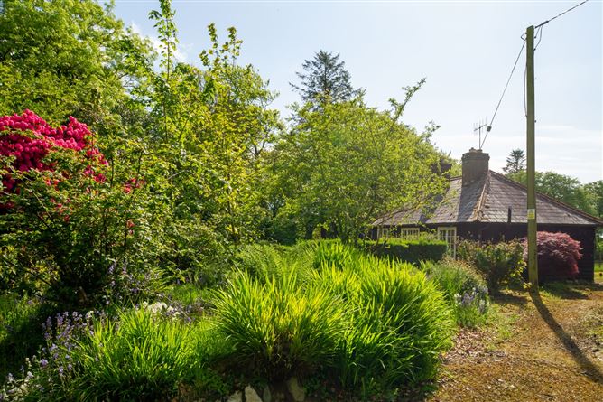 The Seafield Estate, Bunmahon, Co Waterford