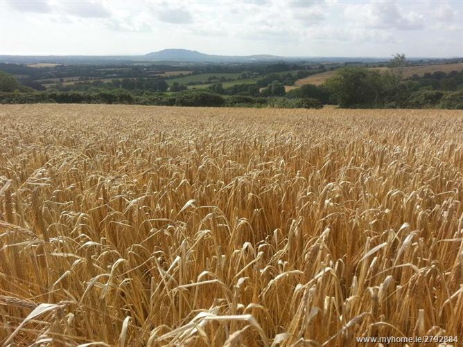 Askinch, Coolgreaney, Inch, Gorey, Wexford