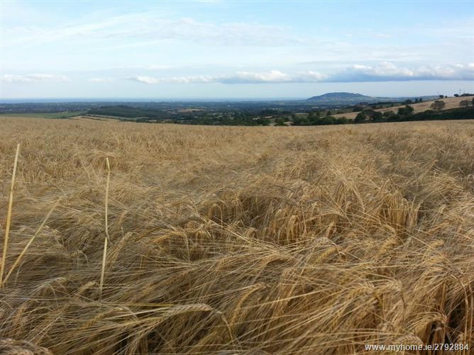 Askinch, Coolgreaney, Inch, Gorey, Wexford