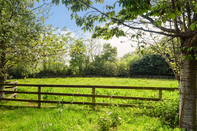 https://photos-a.propertyimages.ie/media/4/8/8/4930884/6e8374bc-d89c-49ea-a35f-7840e0968c2b_l.jpg