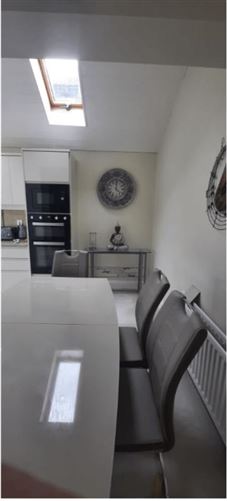 Warm Greeting Awaits You - ADULTS O, Dublin