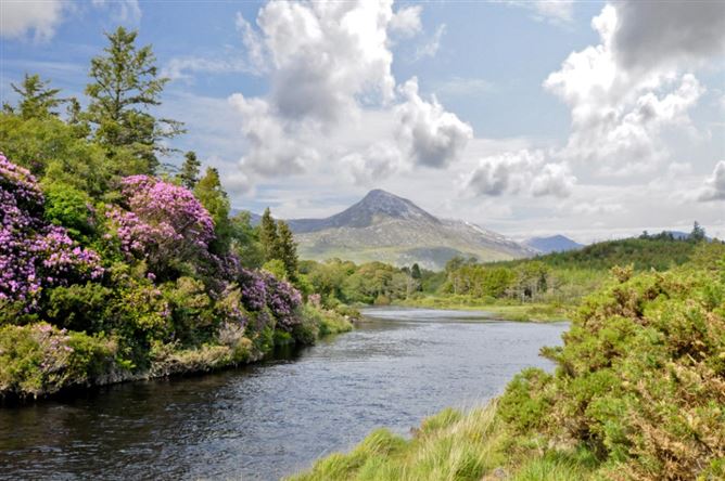 Rossaveel Holiday Cottages, Rossaveel, Galway