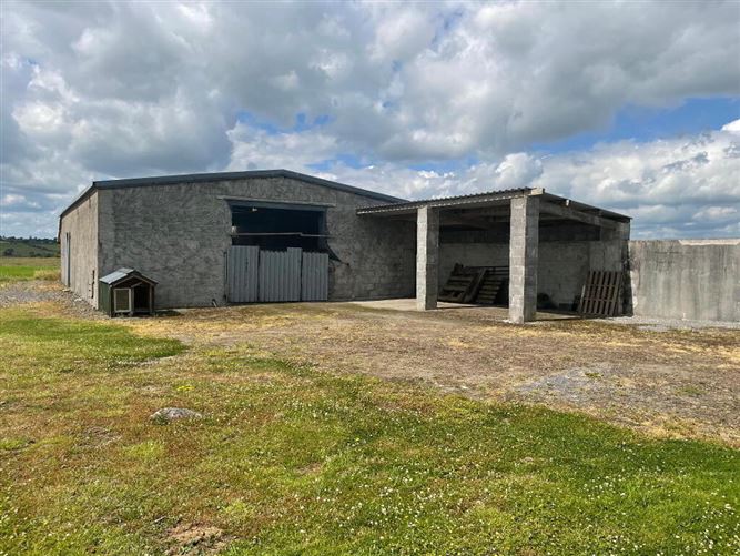 Carrownalassan, Four Mile House, Roscommon, Roscommon