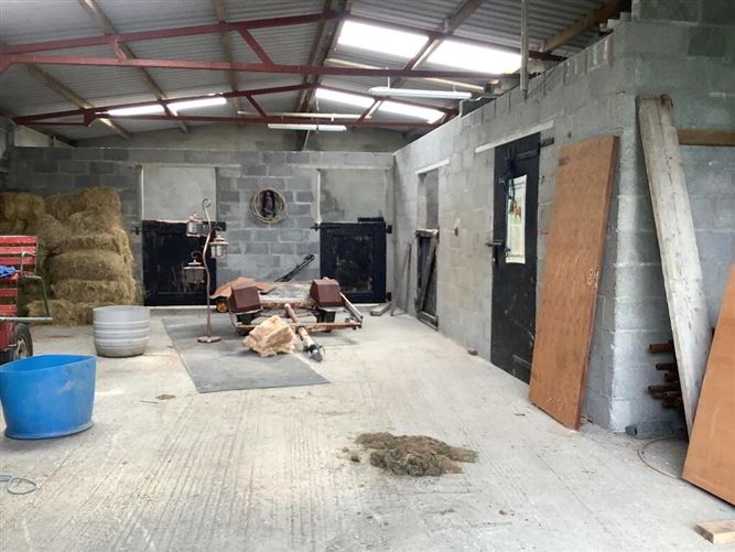 Carrownalassan, Four Mile House, Roscommon, Roscommon