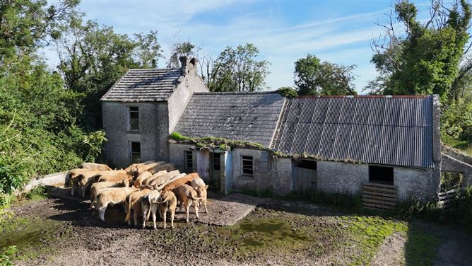 Barnacullen, Knockcroghery, Roscommon