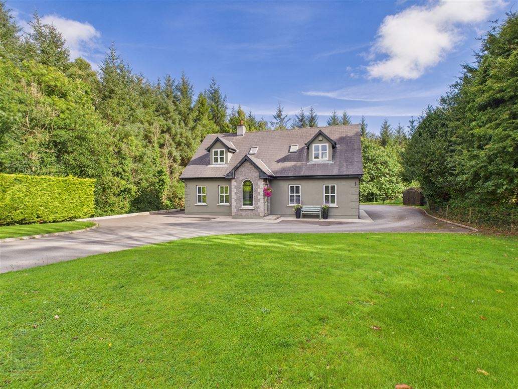 "Stream", Ballyhyland, Caim, Enniscorthy, Wexford
