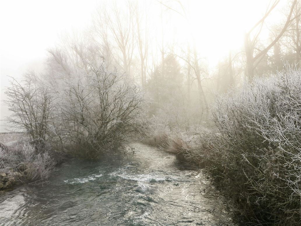 Minster Meadows,Minster Lovell, Oxfordshire, United Kingdom