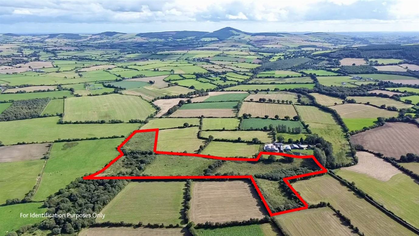 Ballingate (C. 20 Acres), Carnew, County Wicklow