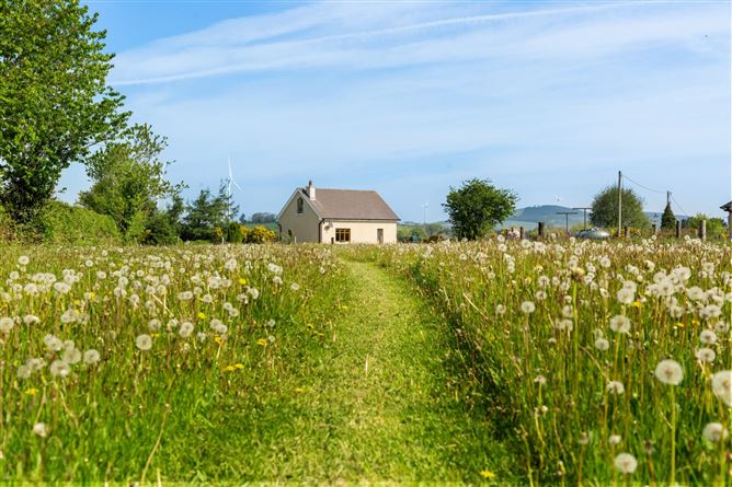 Peridot House, Bolachoir, Ferns, Co. Wexford