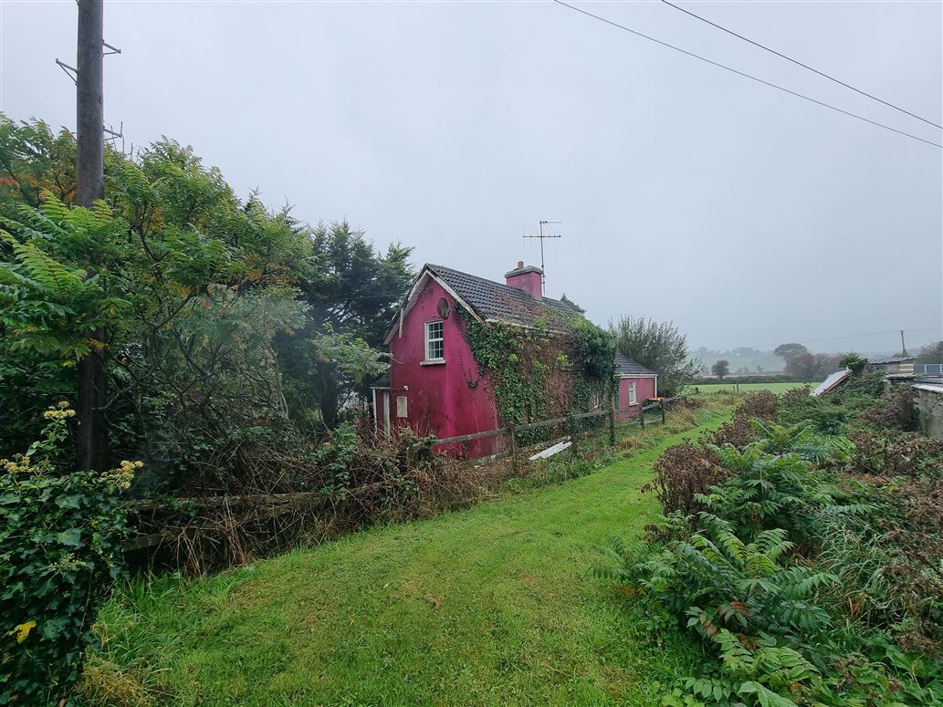 Madame, Ballinascarthy, Co. Cork