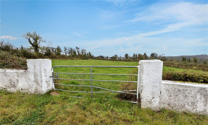 Drumgowla, Kilnagross, Carrick-on-Shannon, Co. Leitrim