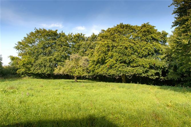 Eskermore House, Daingean, Co. Offaly