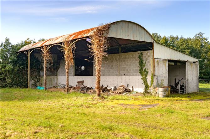 Eskermore House, Daingean, Co. Offaly