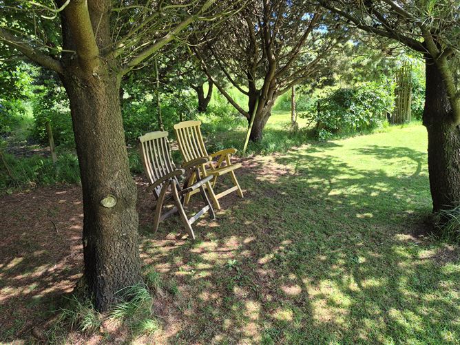 Photo 33 of 35 — Beekeepers Lodge, Coolefore, Monasterboice, Louth