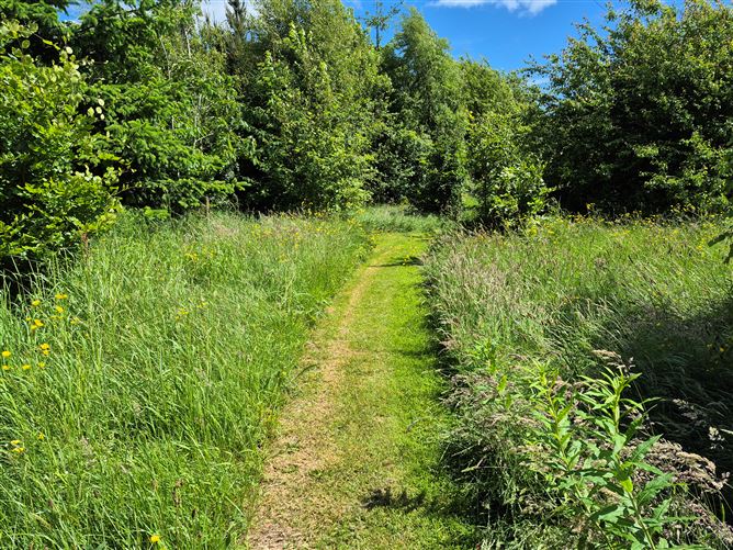 Photo 34 of 35 — Beekeepers Lodge, Coolefore, Monasterboice, Louth